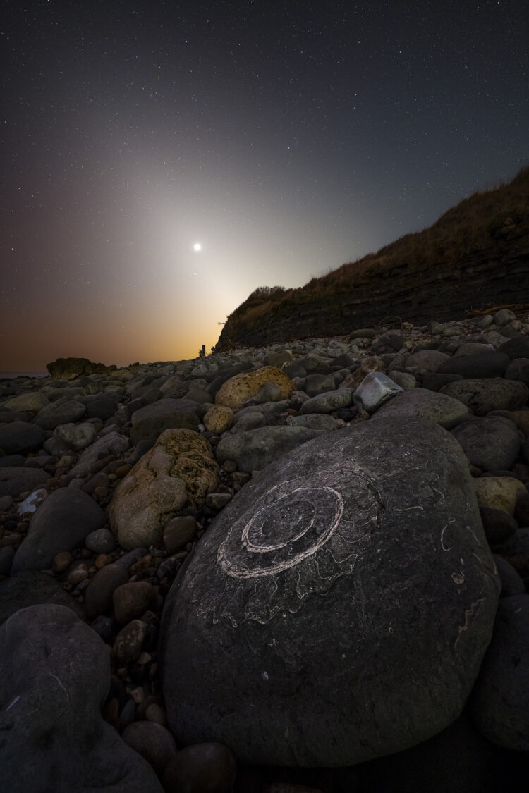 Ancient Spirals and the Zodiacal Light