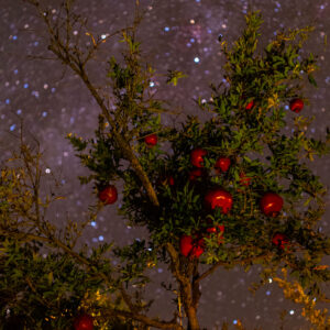 Yalda Night and Winter Solstice