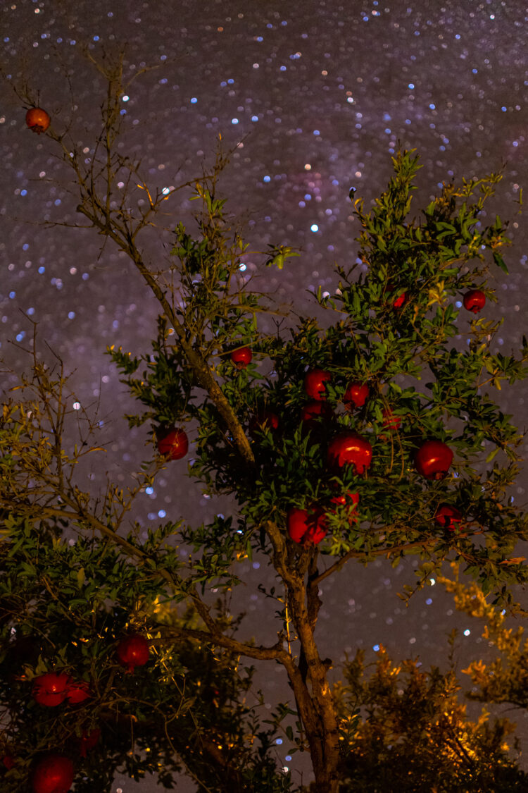 Yalda Night and Winter Solstice