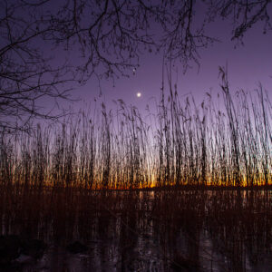 Crescent Moon and Venus