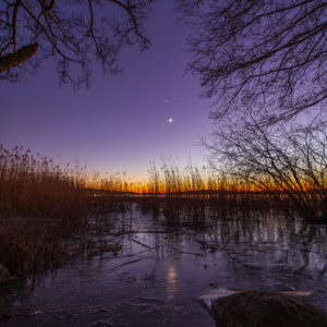 Crescent Moon and Venus