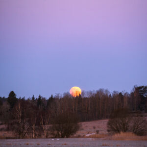 Partial Eclipse at Moonset