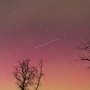 Aurora and Starlink