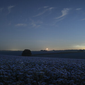 Noctilucent Clouds and a Conjunction