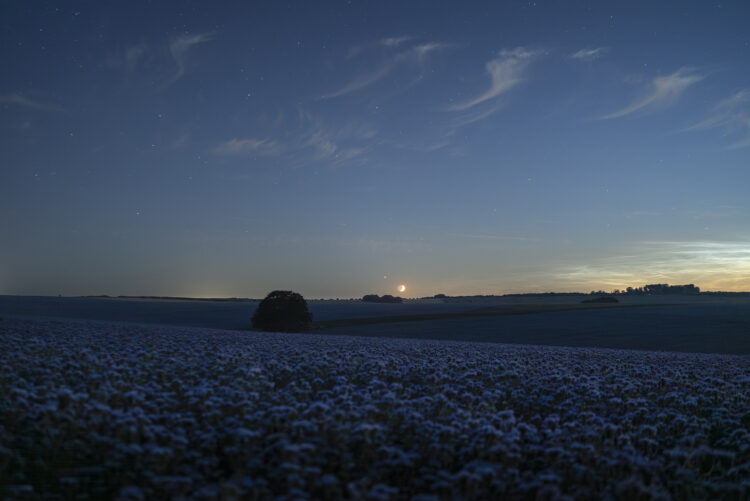 Noctilucent Clouds and a Conjunction