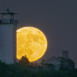 The Deer Moon