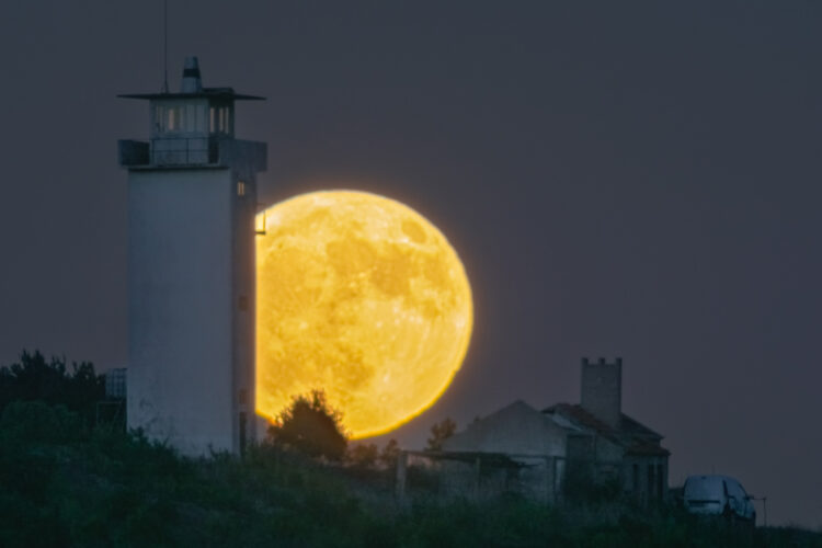 The Deer Moon