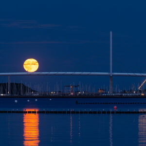 The Moon on the Bridge