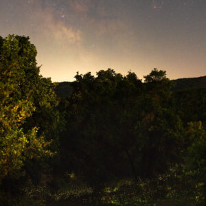 A Tuscan Midsummer Night