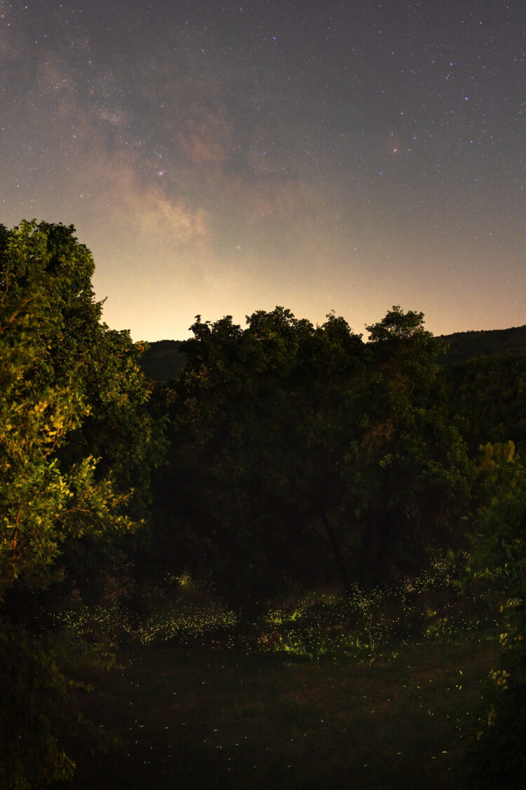 A Tuscan Midsummer Night