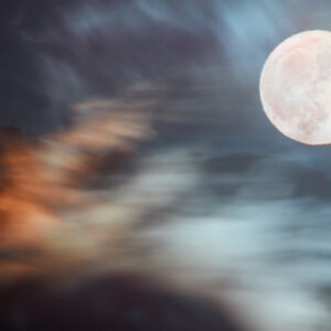 The Stag Moon and the WMT