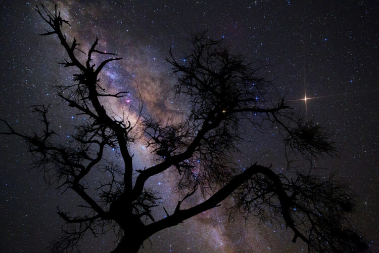 Milky Way Fine Art