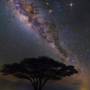 Nightscape in Amboseli