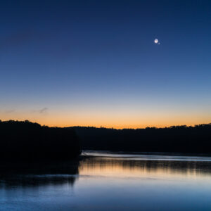 Crescent Moon, Venus and Regulus