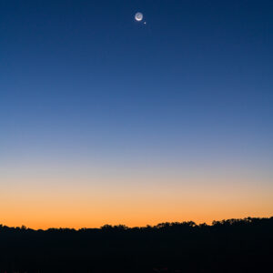 Crescent Moon, Venus and Regulus