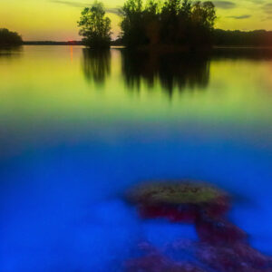 Colors
