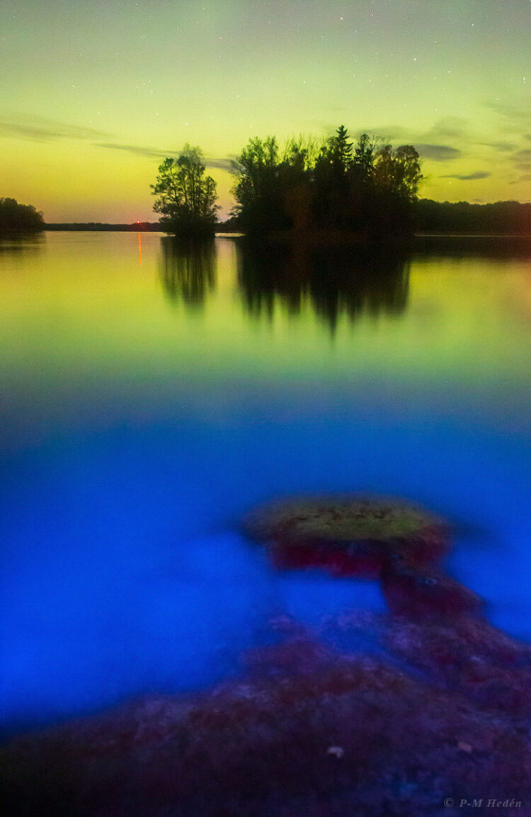 Colors