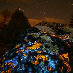 Amazing Stone and Night Sky