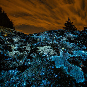 Amazing Stone and Night Sky