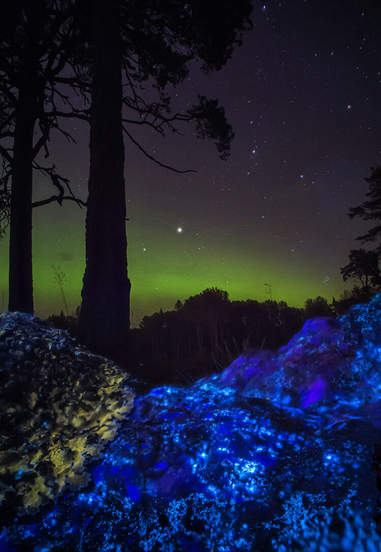 The Blue Stone and Aurora