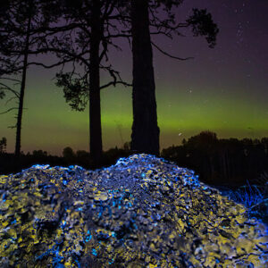 Colorful Stone and Aurora