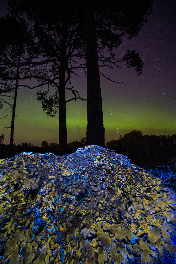 Colorful Stone and Aurora