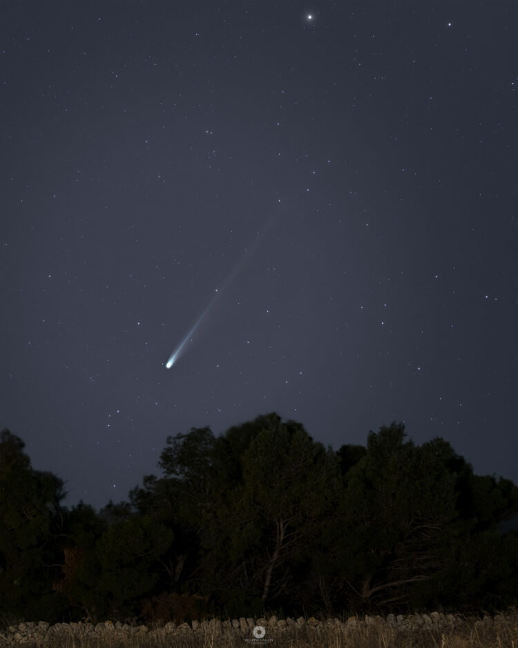 A True Time Traveler (Comet Lemmon)