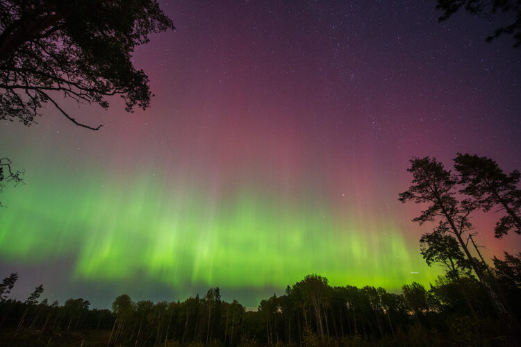 Red Aurora