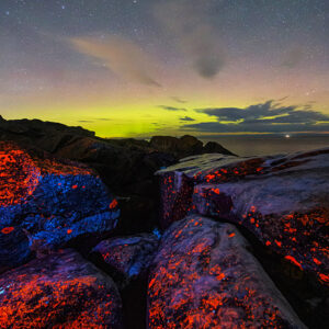 Red Lichens and Aurora