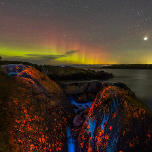 Glowing Lichens and Aurora