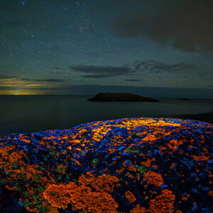 Glowing Lichens and M45