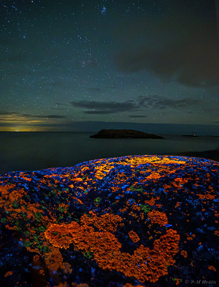 Glowing Lichens and M45