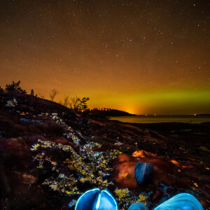 Ocean's Purification Plant and Night Sky