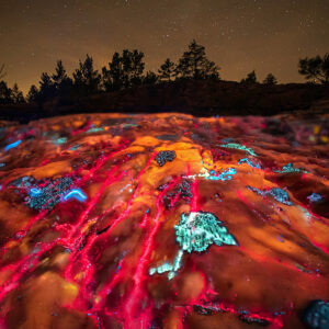 Once Magma and Stars