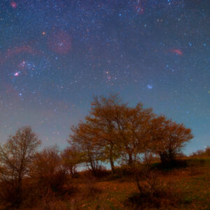 Autumn Dream in the Nebrodi Mountains