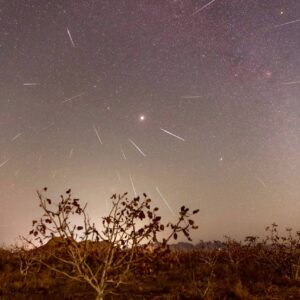 Fireworks in the sky at the end of autumn