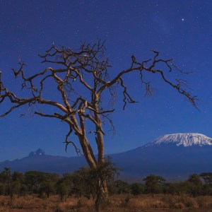 A Night View of Mount Kilimanjaro