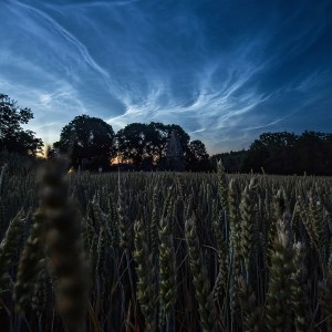 Summer Blooms Beneath the Mesosphere