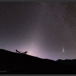 Zodiacal Light at the Hanle Star Party